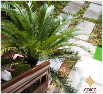 Spice Holidays Hotel Kochi Exterior photo